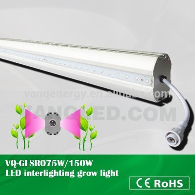 75w double sided led grow strip,indoor grow bar used in holland tomatoes