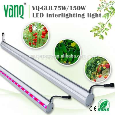 75w Bi-direction LED grow bar for tomato seeds horizontal lighting